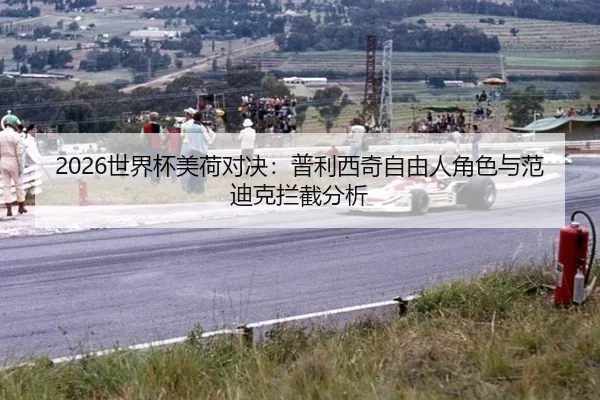 shi-jie-bei-mei-he-dui-jue-pu-li-xi-qi-zi-you-ren-jue-se-yu-fan-di-ke-lan-jie-fen-xi-2-260.jpg